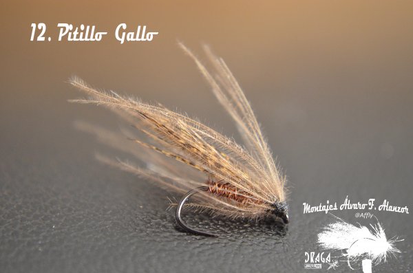 12. Pitillo Gallo