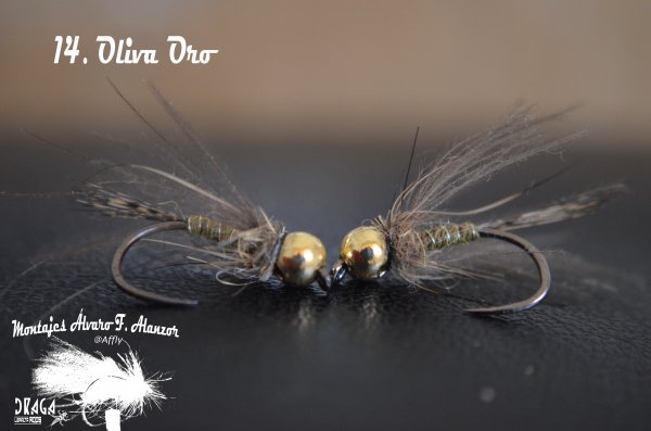 14. OLIVA ORO