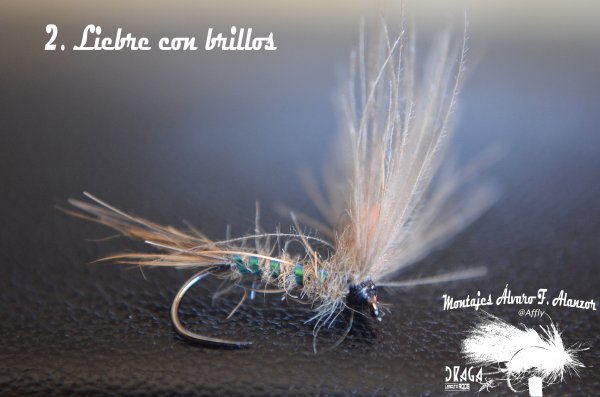 2. Efémera liebre brillos