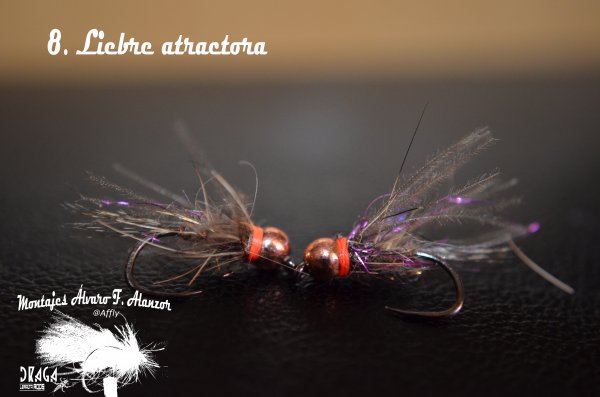 8. LIEBRE ATRACTORA