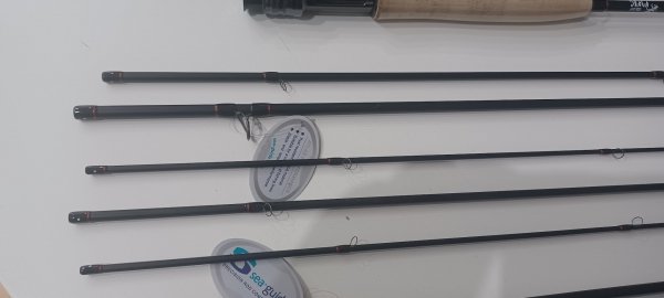 RESERVA - AGOTADAS TEMPORALMENTE -DRAGA ALISEDA 10´6´´ Línea 2/3 Nano + puntera extra